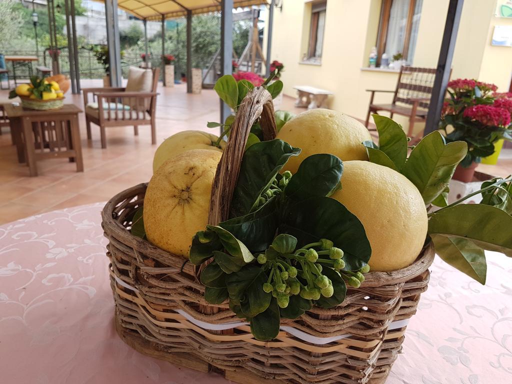 Agriturismo Al Nido Degli Aironi San Remo Buitenkant foto
